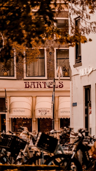 Breville Barista Express